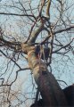 small_t905068.jpg, 4 kB