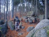 small_t905077.jpg, 14 kB