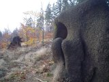 small_t905078.jpg, 11 kB