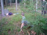 small_t905095.jpg, 13 kB