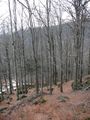 small_p1160829.jpg