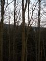 small_p1160857.jpg